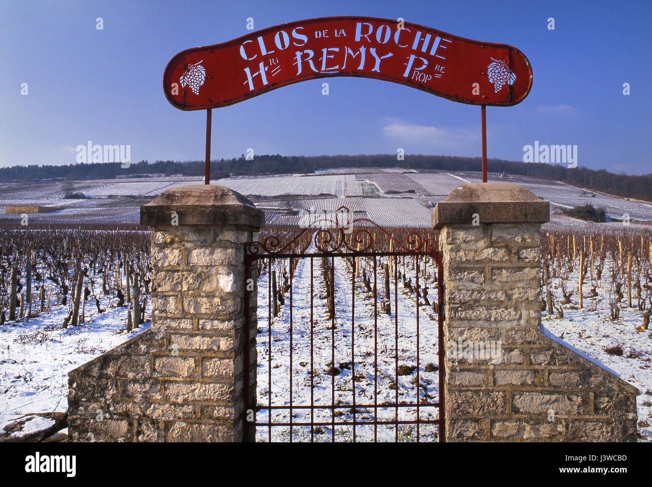 VINEYARD BURGUNDY Winter snow rustic entrance gate and sign to Henri Remy Grand Cru Clos de la Roche vineyard, Morey-St-Denis, Côte d'Or, France. Stock Photo