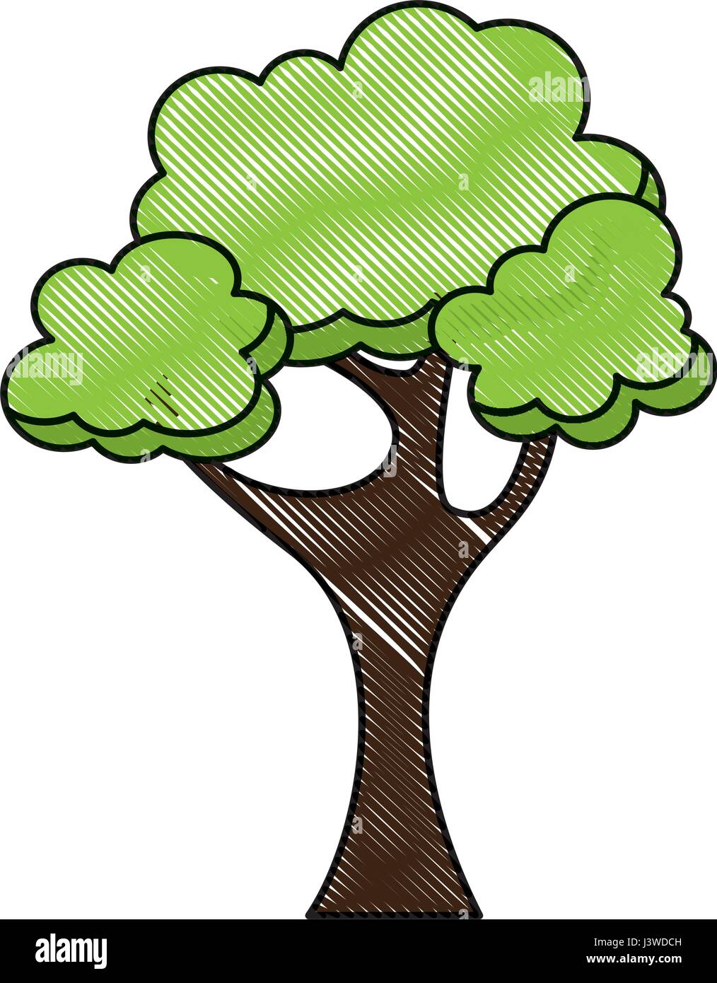 tree plant isolated icon Stock Vector Image & Art - Alamy
