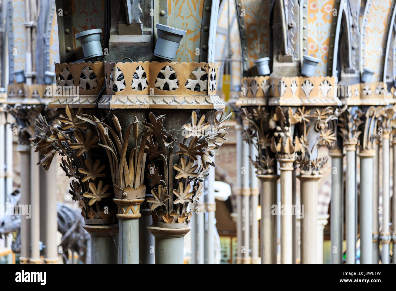 The interior decorated metal arches of the Natural History Museum, Oxford, England Stock Photo