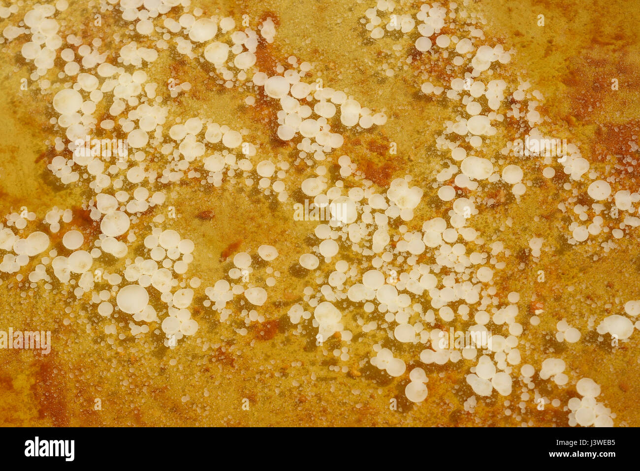 Close up detail of oil fat and water in a frying pan Stock Photo