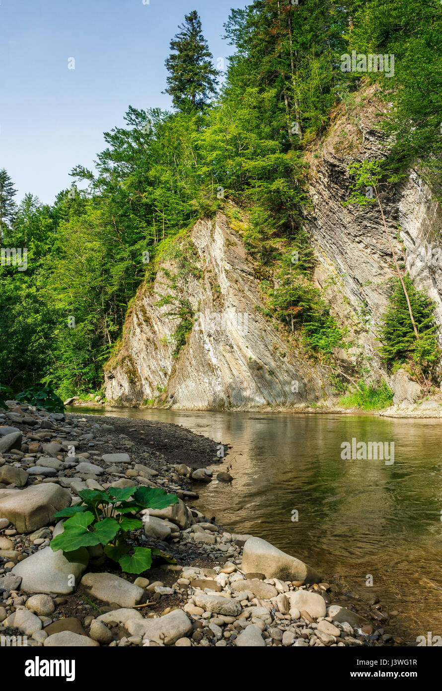 landscape with trees on a cliff nearthe shore of a clear river. fine summer weather with blue sky Stock Photo