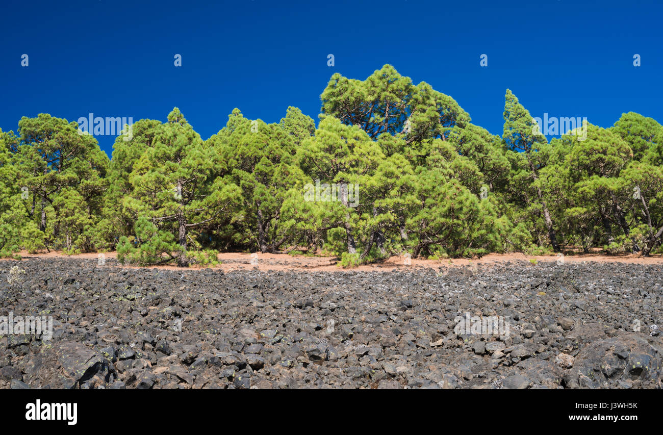 Montana la Barquita, one of numerous basaltic scoria cones on the Cumbre Vieja stratovolcano, La Palma Stock Photo