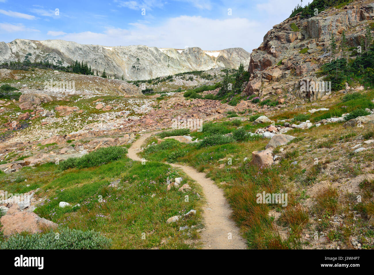 alpine trail in Medicine Bow Mountains of Wyoming Stock Photo Alamy