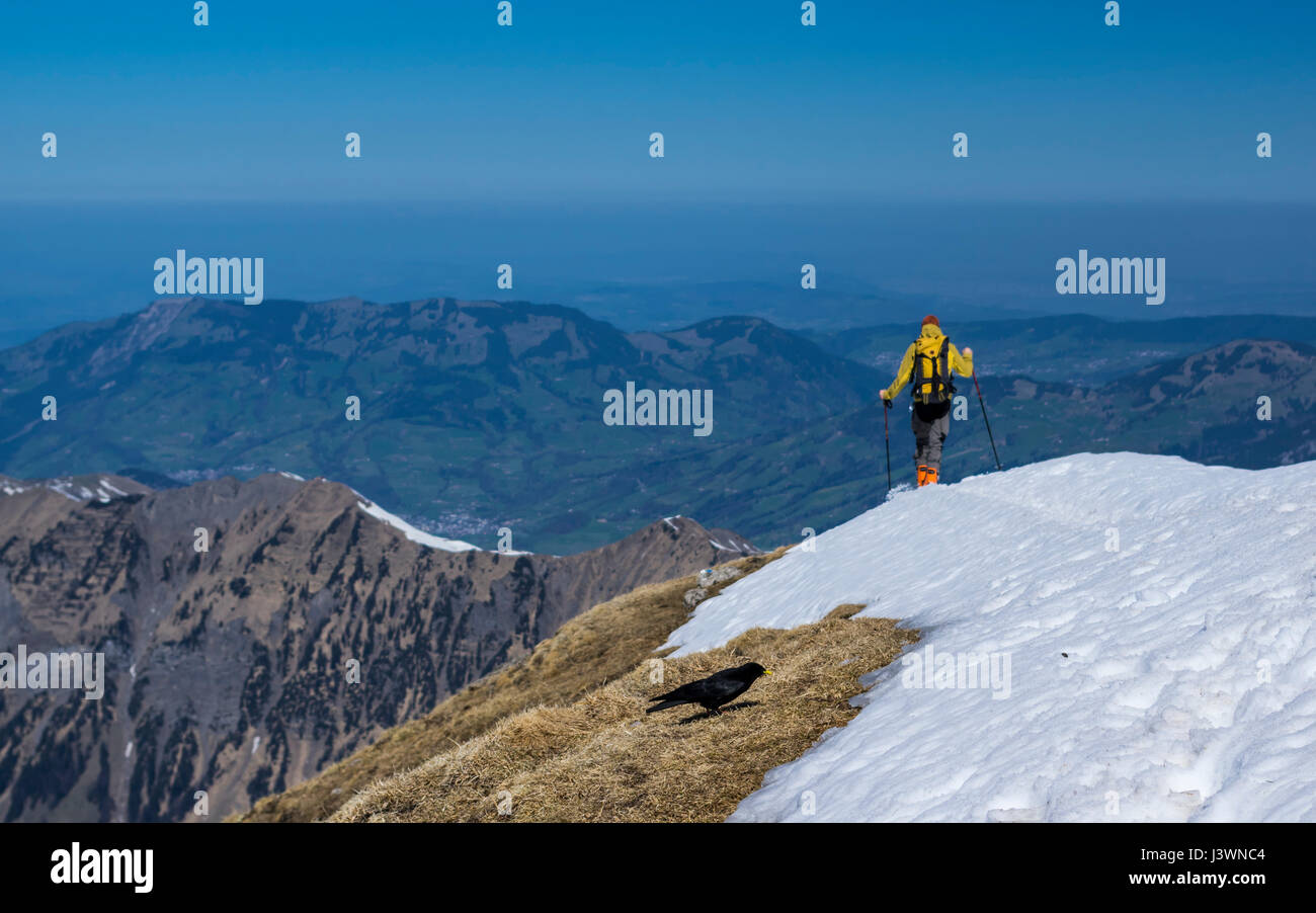 Hiker descending on the snow from Rossstock (2461m). In the background alpine foothills and flat Swiss plateau ('Mittelland'). Stock Photo