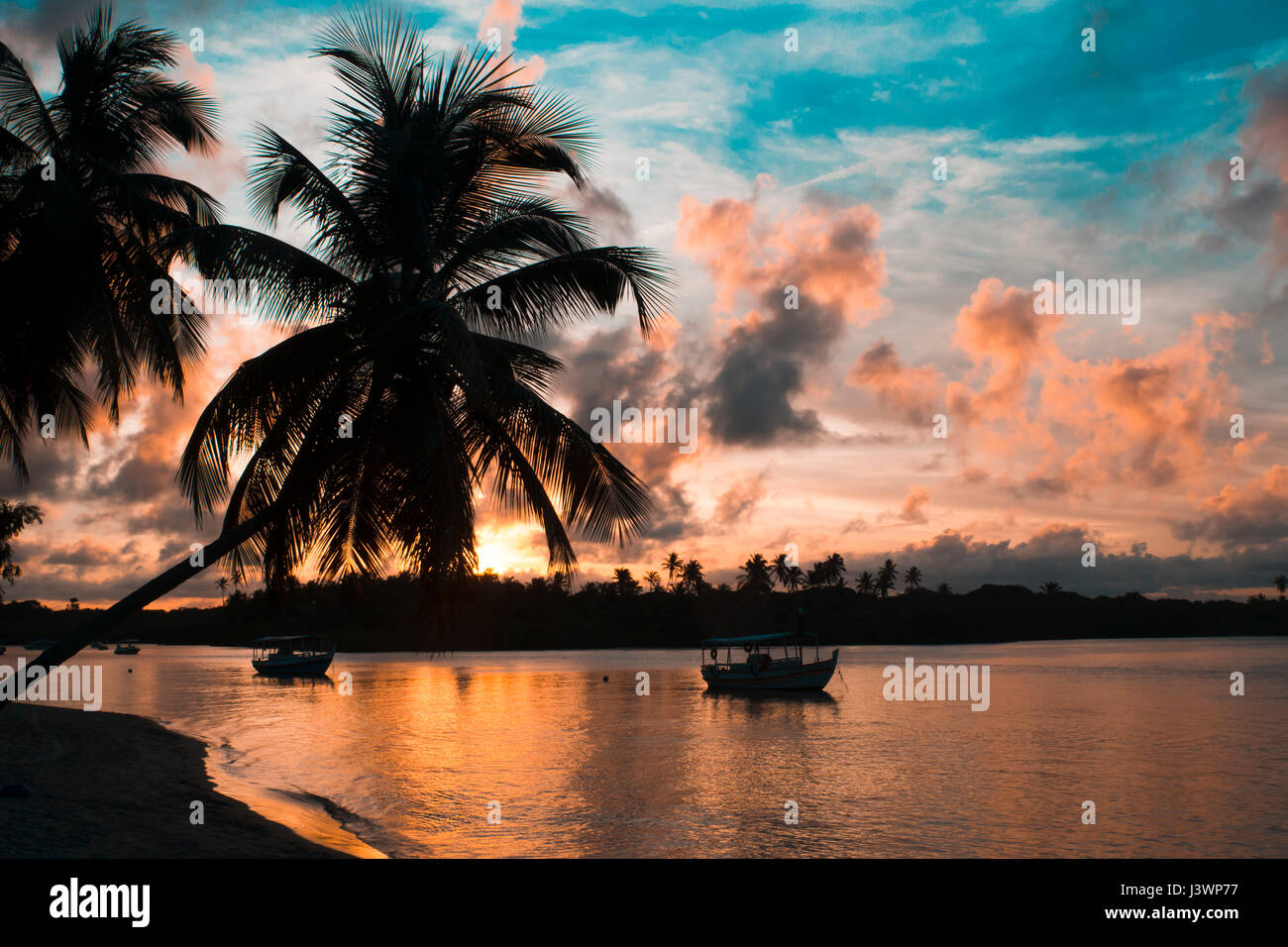 Paradise beach sunset with tropical palm trees Stock Photo