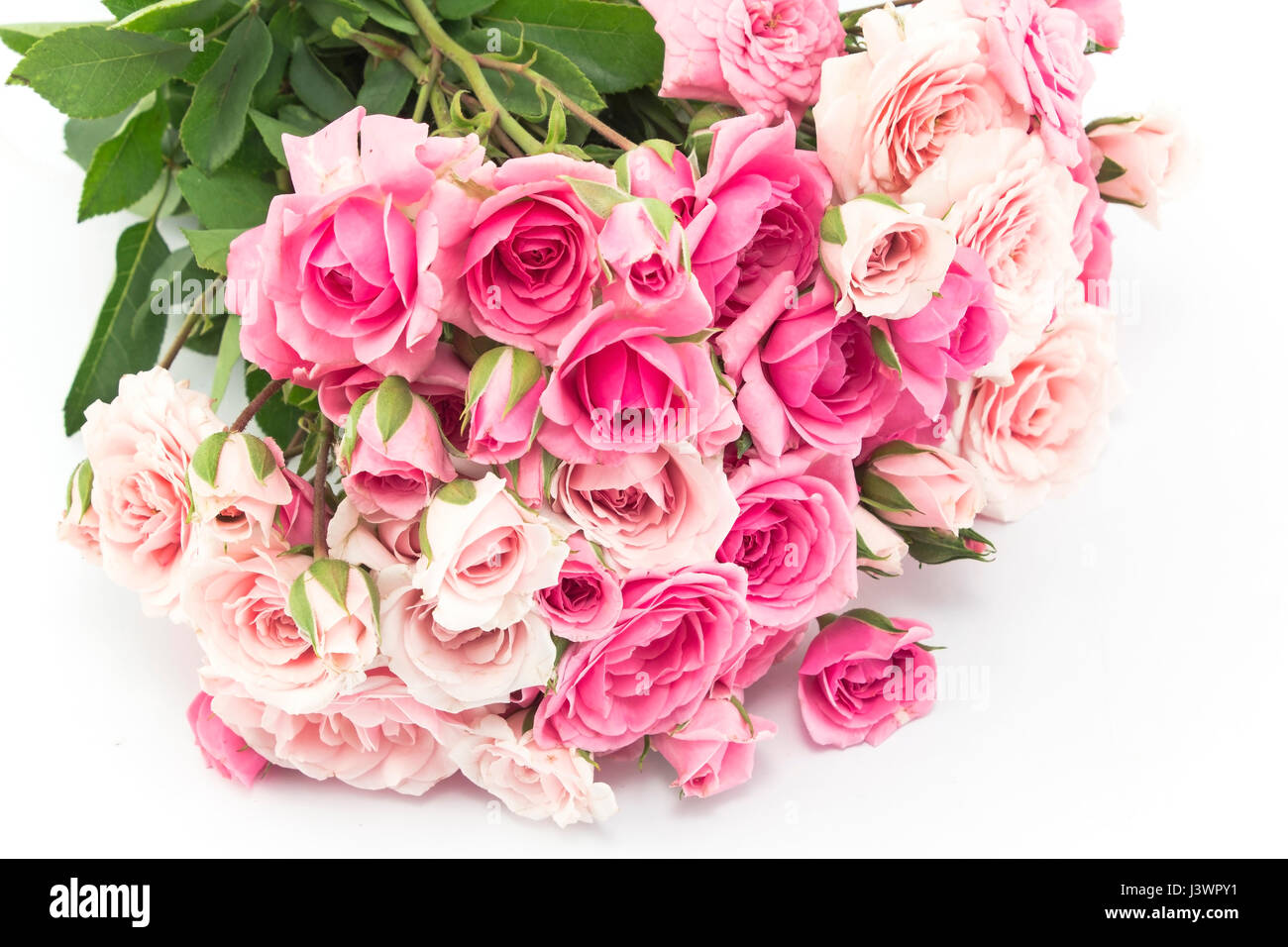 Wedding pink roses bouquet hi-res stock photography and images - Alamy