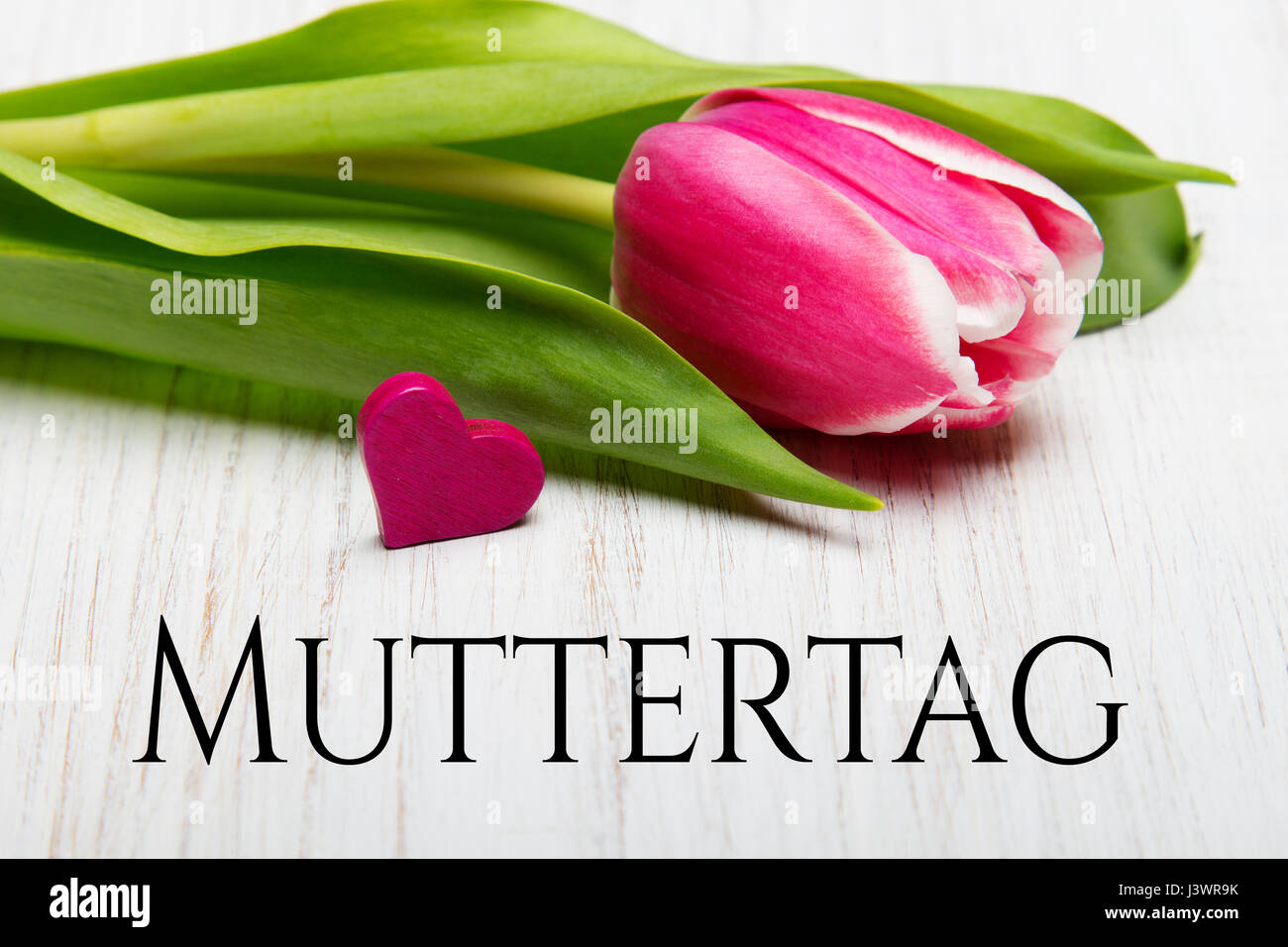 German Mother S Day Card With Word Muttertag Mother S Day Tulip And Stock Photo Alamy