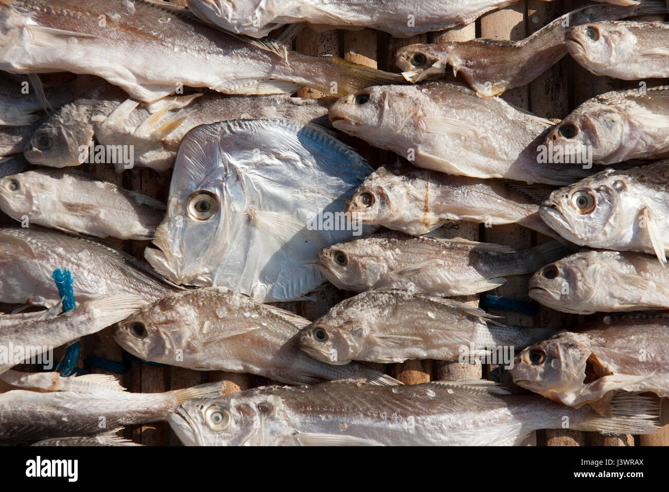 dry fish for sale on a market in Brazil Stock Photo Alamy