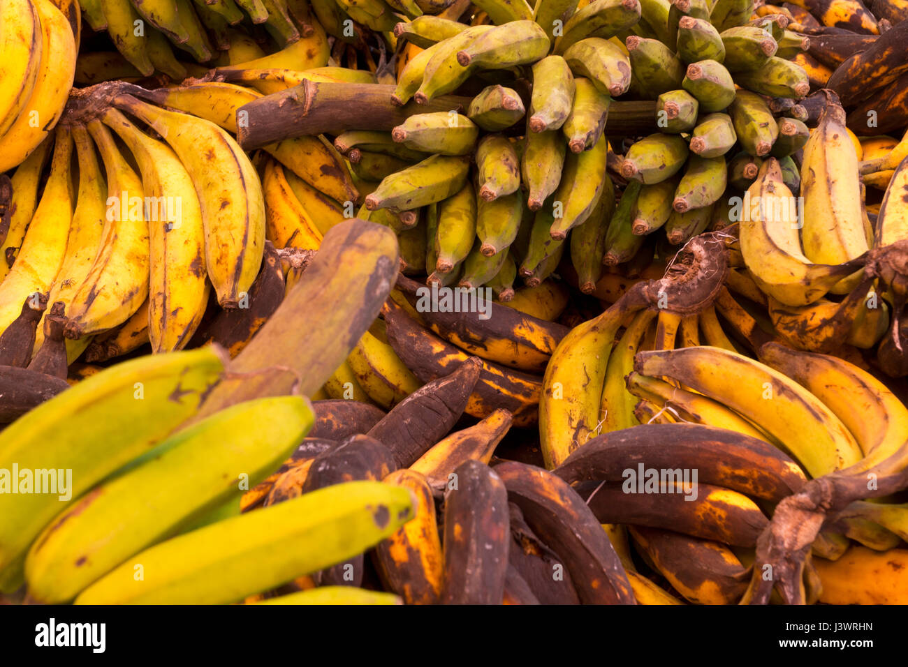 brazilian markets offer a huge  variation of fruits and vegetables Stock Photo