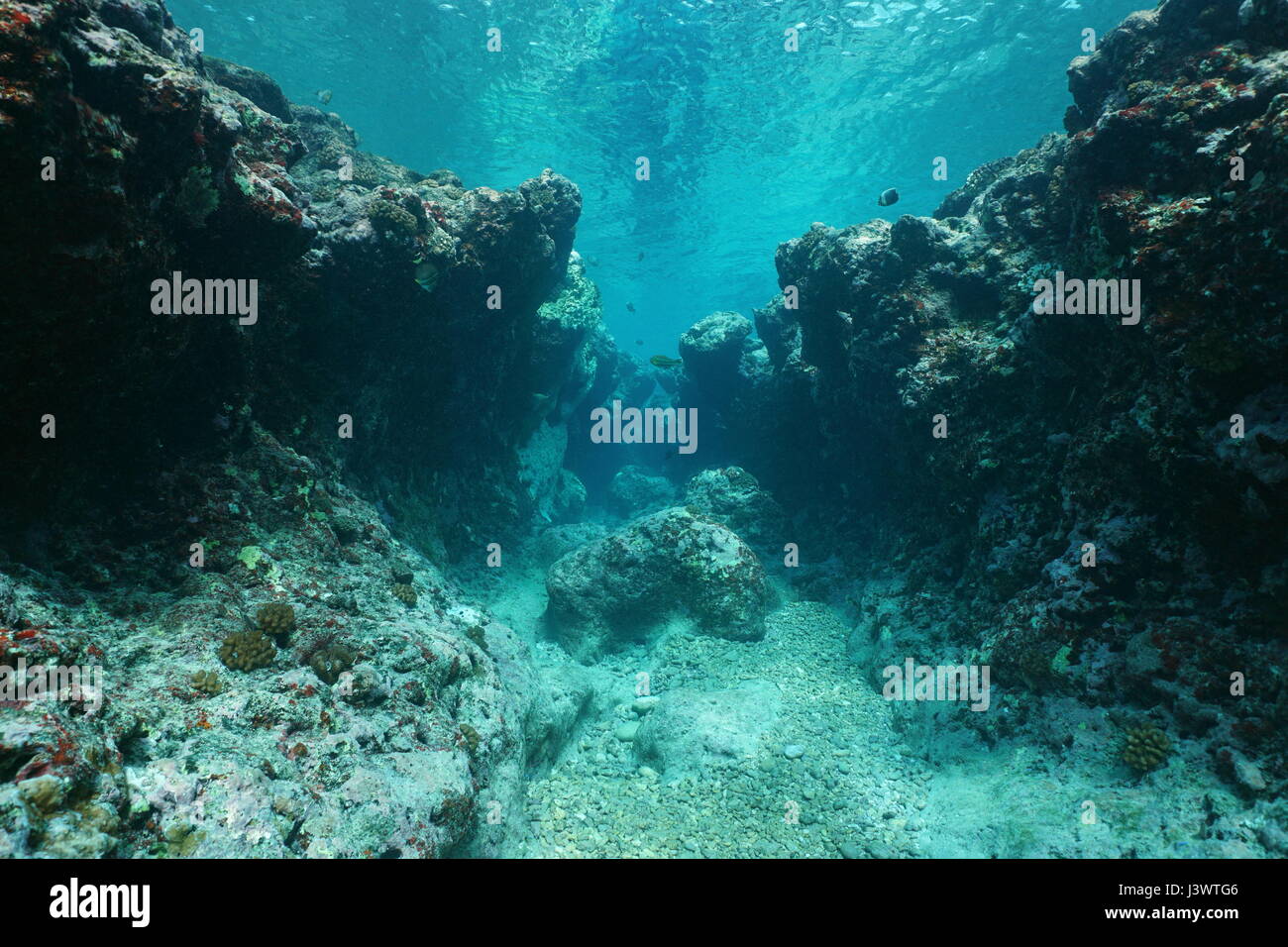 Rocky Underwater Seascape Ocean Floor Outer Reef Carved By The