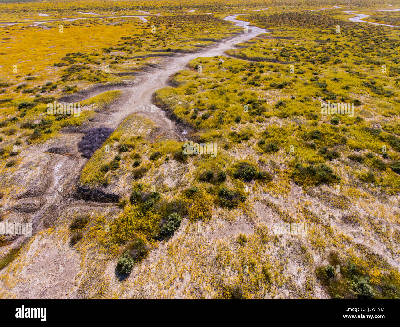 aerial of watershed of Soda Lake and wildflowers, Carrizo Plains National Monument, California Stock Photo