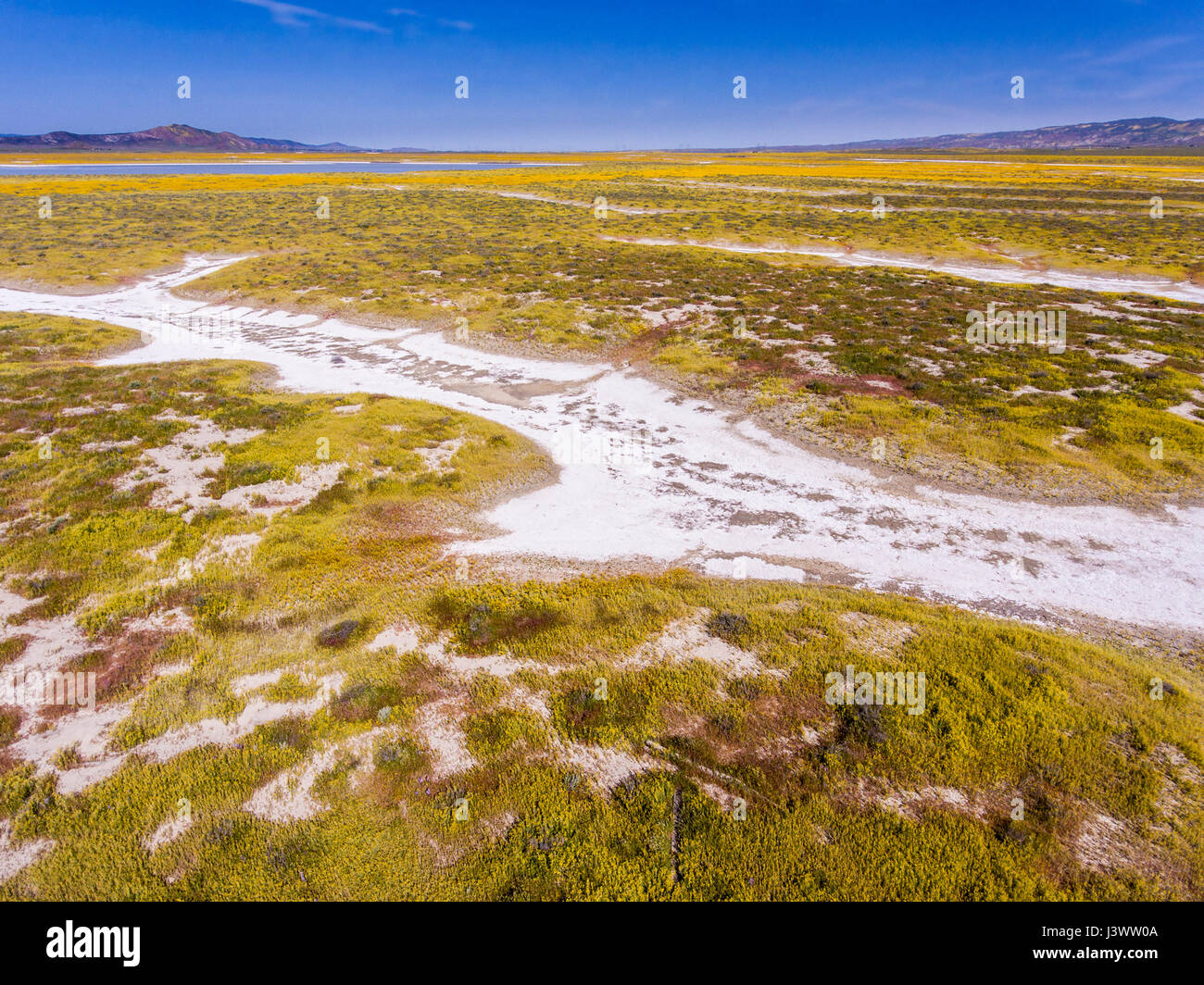 aerial of watershed of Soda Lake and wildflowers, Carrizo Plains National Monument, California Stock Photo