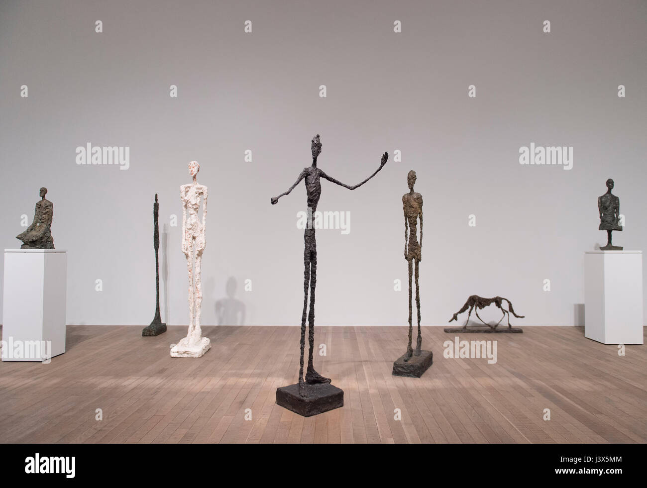Tate Modern, London, UK. 8th May, 2017. The UK’s first major retrospective of Swiss artist Alberto Giacometti (1901-1966) for 20 years. Celebrated as a sculptor, painter and draughtsman, Giacometti’s distinctive elongated figures are some of the most instantly recognisable works of modern art. This exhibition reasserts Giacometti’s place alongside the likes of Matisse, Picasso and Degas as one of the great painter-sculptors of the 20th century. Credit: Malcolm Park editorial/Alamy Live News. Stock Photo