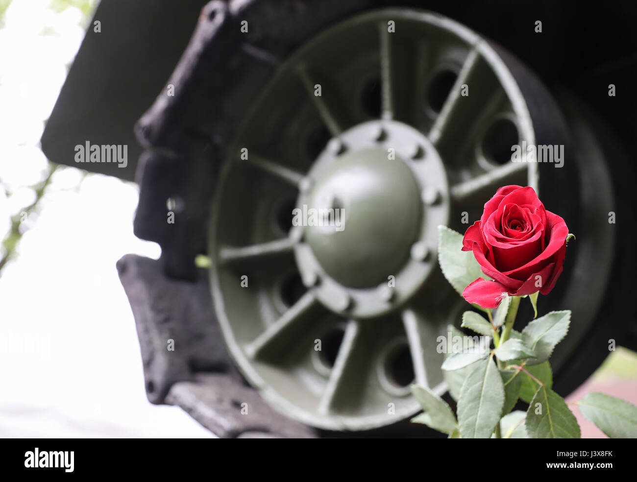 Berlin, Germany. 8th May, 2017. A rose is seen near a tank model during a series of memorial activities to commemorate the 72nd anniversary of the end of World World II in Europe, known as Victory in Europe Day at German-Russian Museum in Berlin, capital of Germany, on May 8, 2017. Credit: Shan Yuqi/Xinhua/Alamy Live News Stock Photo