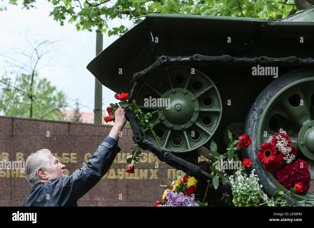 Berlin, Germany. 8th May, 2017. A man presents flowers near a tank model during a series of memorial activities to commemorate the 72nd anniversary of the end of World World II in Europe, known as Victory in Europe Day at German-Russian Museum in Berlin, capital of Germany, on May 8, 2017. Credit: Shan Yuqi/Xinhua/Alamy Live News Stock Photo