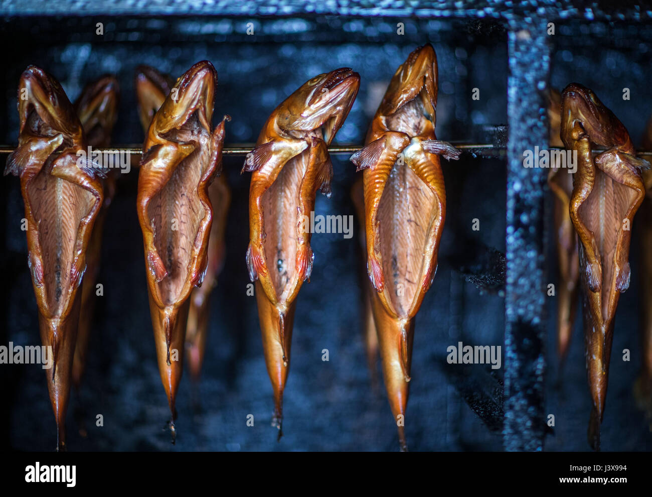 Vipperow, Germany. 4th May, 2017. Freshly smoked char fish can be seen hanging in an oven at the fish farm at the Mueritz in Vipperow, Germany, 4 May 2017. The fish farm is part of the largest inland fishery in Germany: Fishery Mueitz-Plau GmbH. Besides the tradition fishery and the breeding of fish, modern aqua culture is also part of the business. The fishery, founded in 1990 from the former production cooperative (founded 1952) holds more than 30.000 hectars of water. Photo: Jens Büttner/dpa-Zentralbild/dpa/Alamy Live News Stock Photo