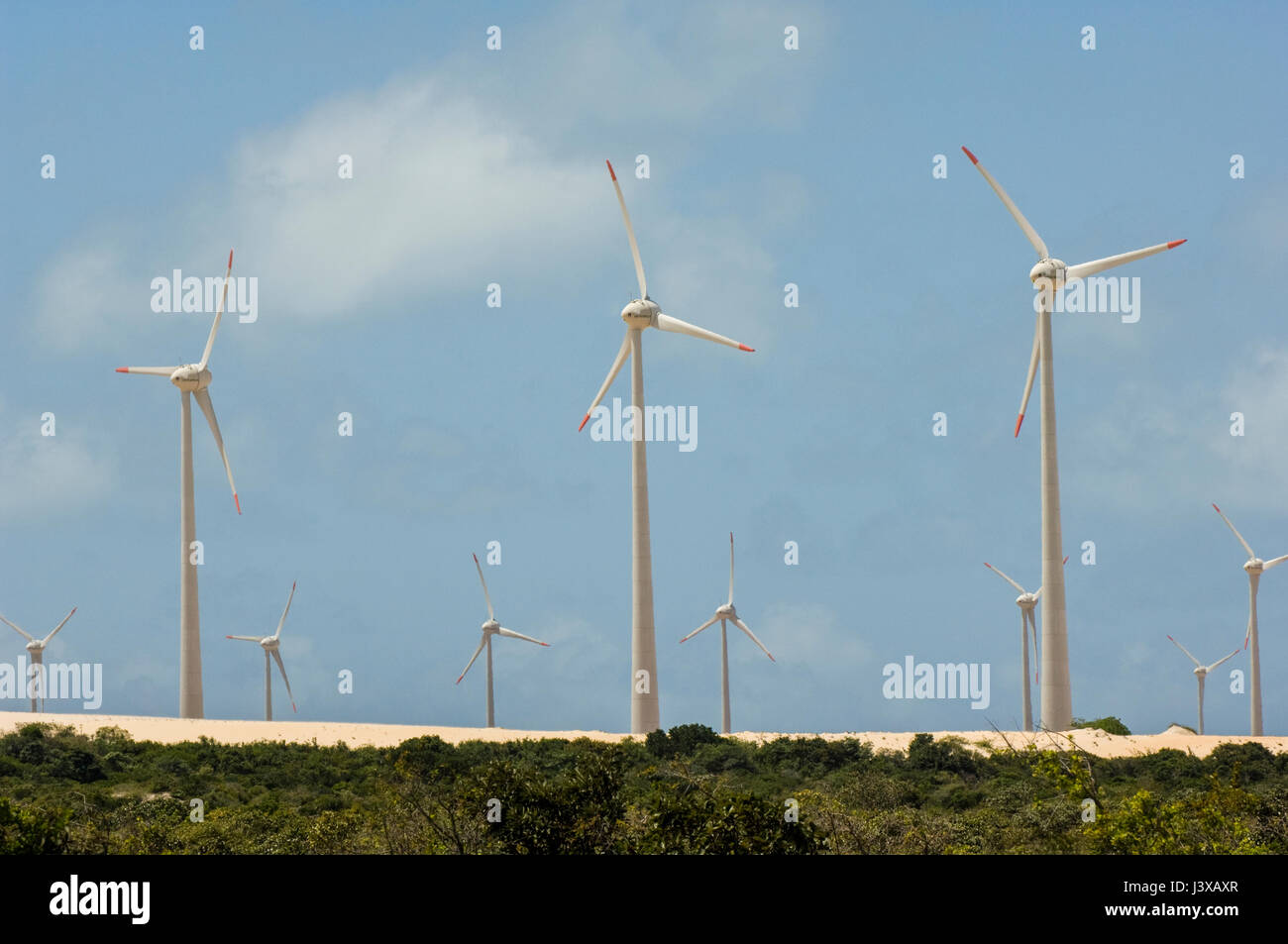 View of the windfarm turbines at Rio do Fogo, near Natal in the northeast of  Brazil Stock Photo