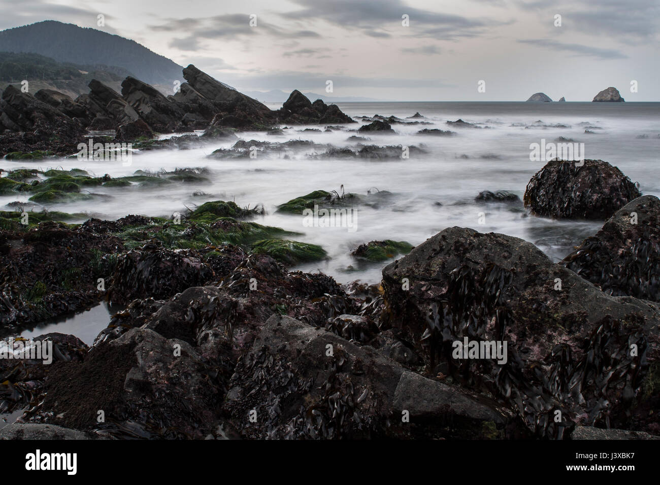 Long exposure blurs the incoming waves of an extreme low tide in the early morning on the Oregon coast, USA. Stock Photo