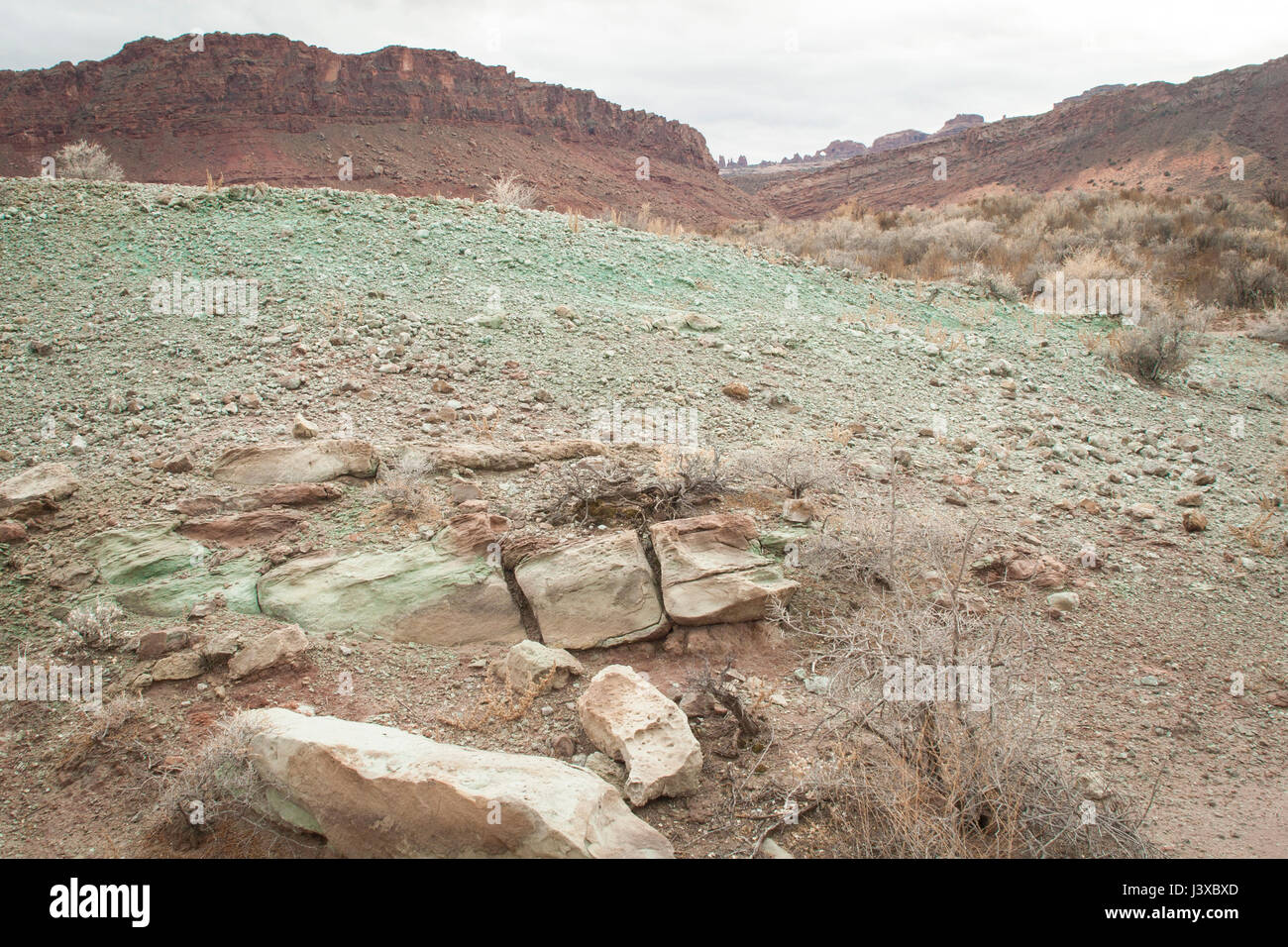 Green serpentine soil in Arches National Park, Utah, USA. Stock Photo