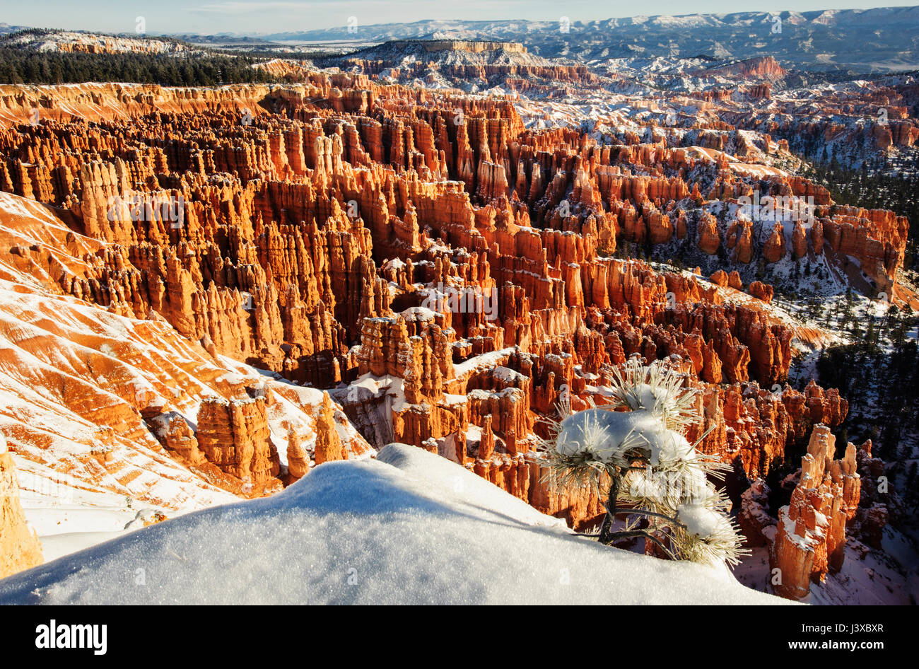 Utah; Bryce Canyon National Park; Natural Features; Desert; Winter