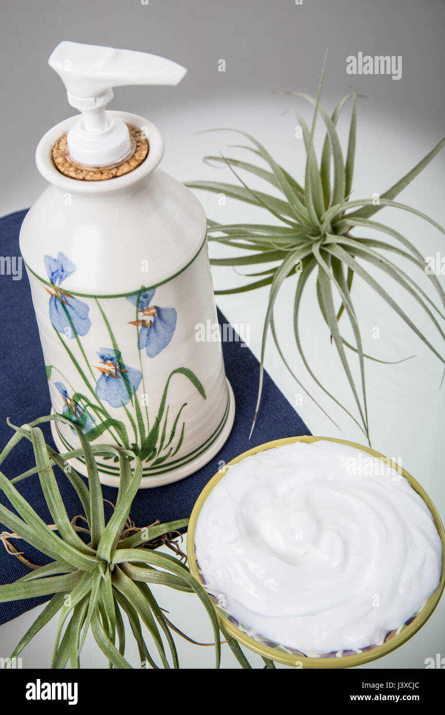 Lotion in an attractive pottery container surrounded by a bowl of lotion and air plants (Tillandsia Bromeliads) Stock Photo