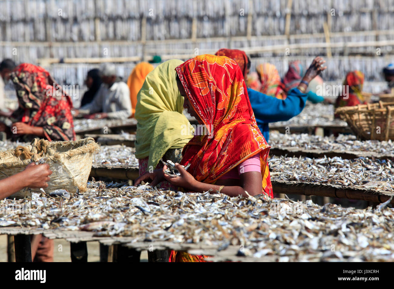 Workers processing fish to be dried at Nazirartek Dry Fish Plant in Cox