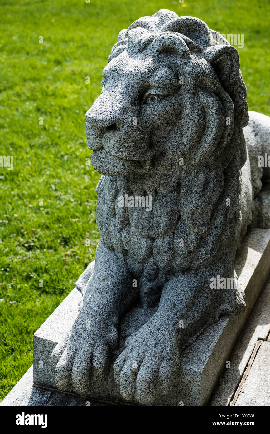 A hand carved stone sculpture of a male lion, lion statue decorating the entrance of a mausoleum in London, Ontario, Canada. Stock Photo