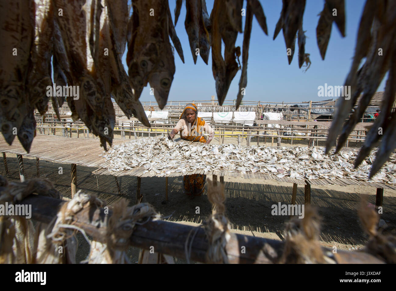 Workers processing fish to be dried at Nazirartek Dry Fish Plant in Cox