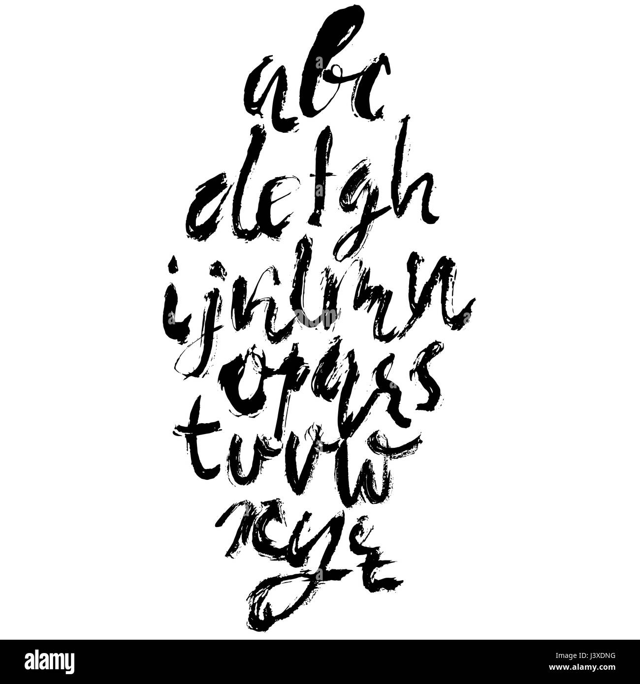 Hand Drawn Dry Brush Font Modern Brush Lettering Grunge Style Alphabet Vector Illustration
