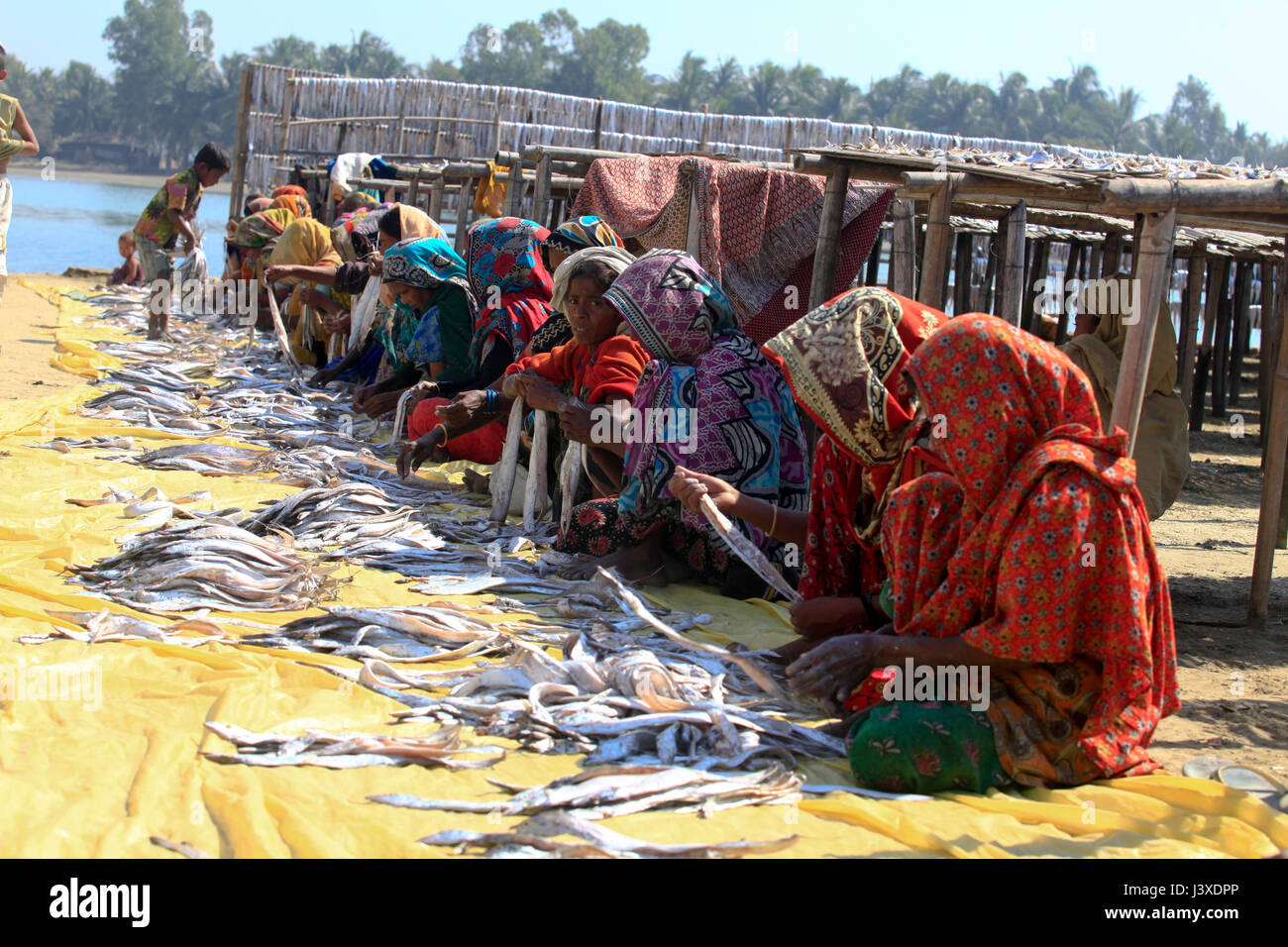 Workers processing fish to be dried at Nazirartek Dry Fish Plant in Cox