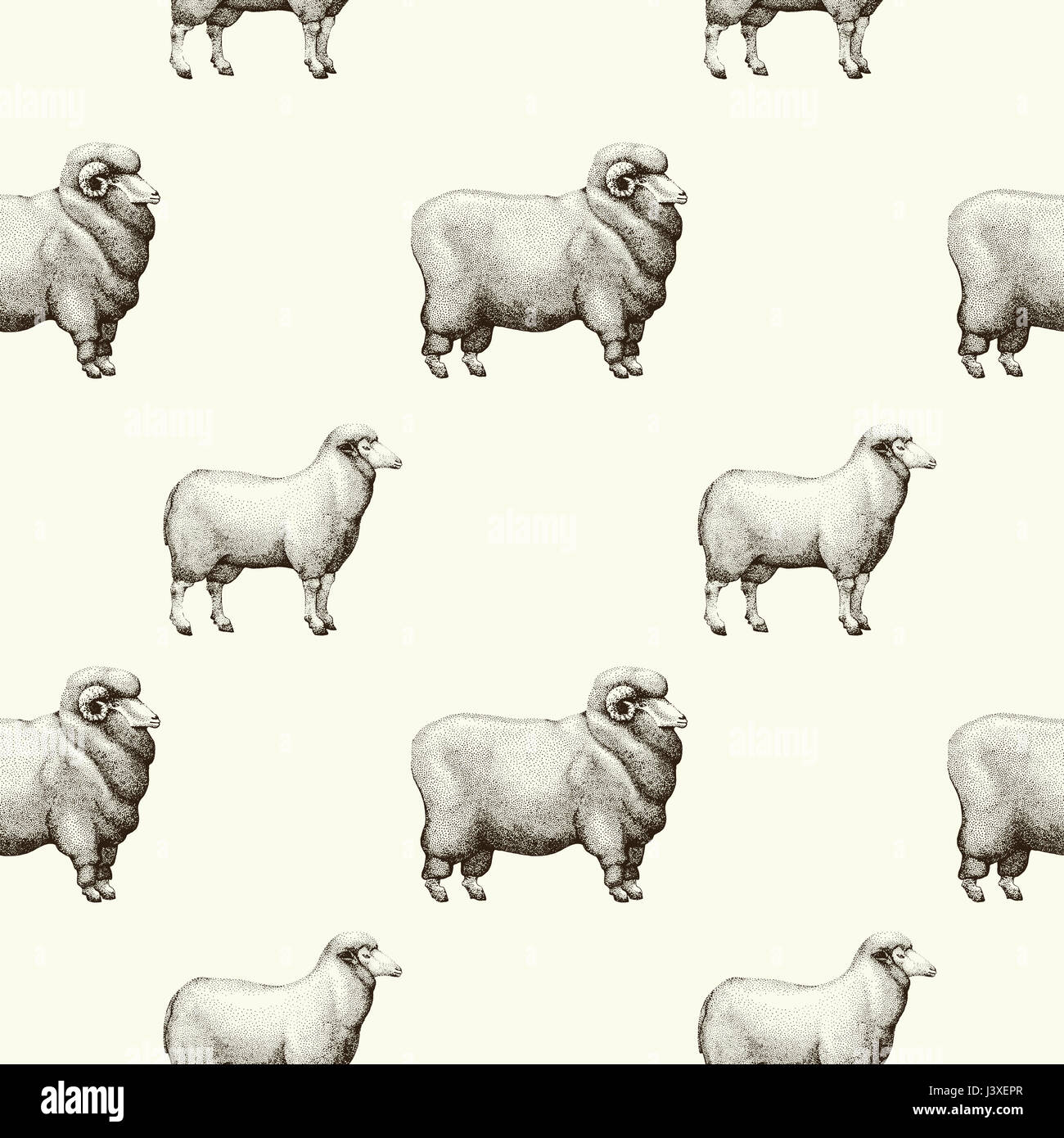 seamless pattern with graphical sheep silhouettes, hand drawn