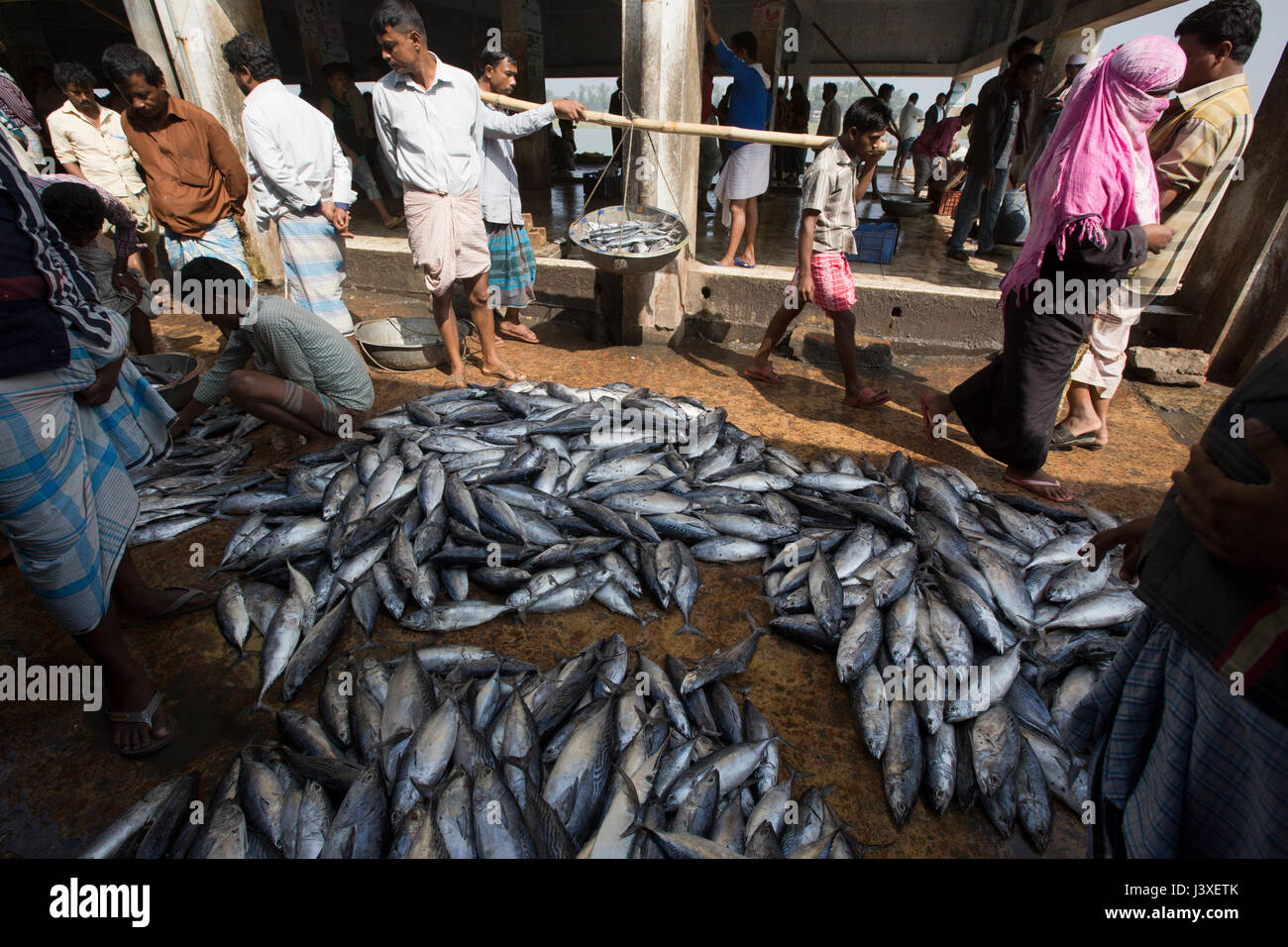 Traders selling marine fish at Fishery Ghat market. Cox’s Bazar, Bangladesh. Stock Photo