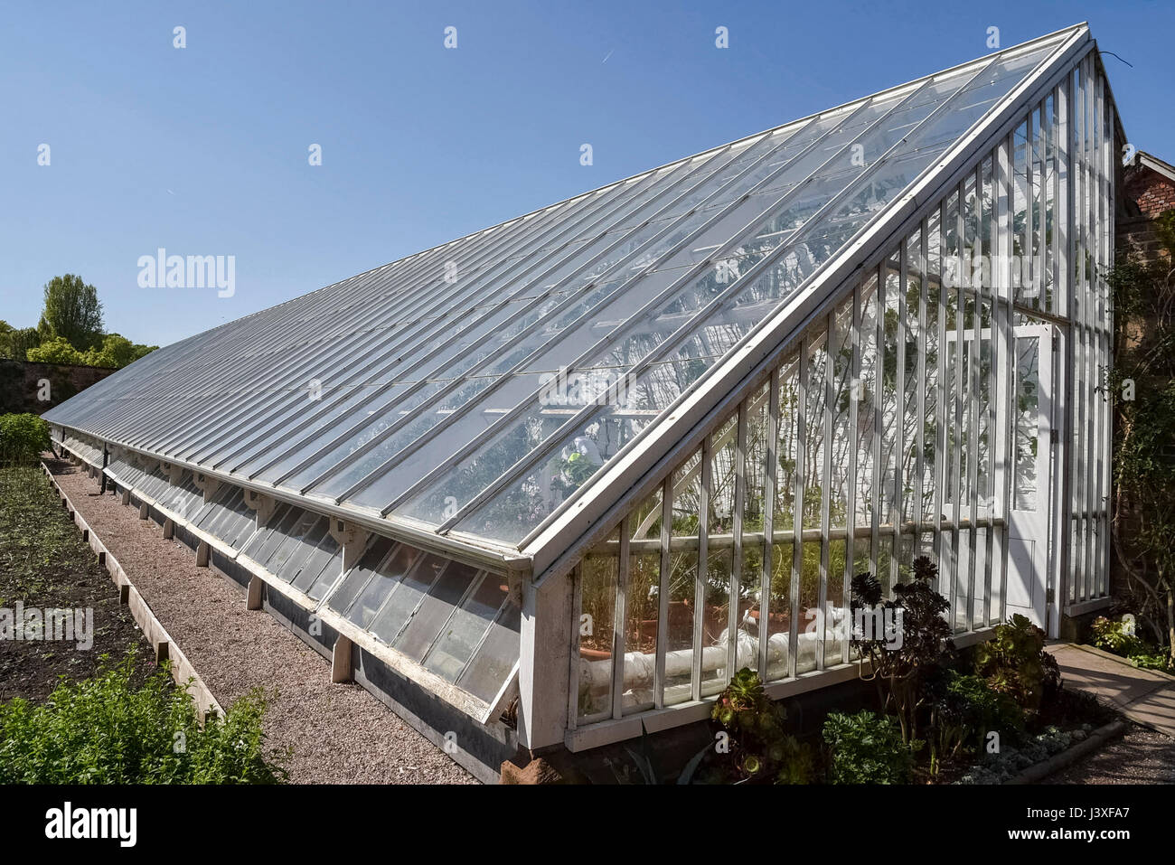 A greenhouse with sloping roof Stock Photo - Alamy