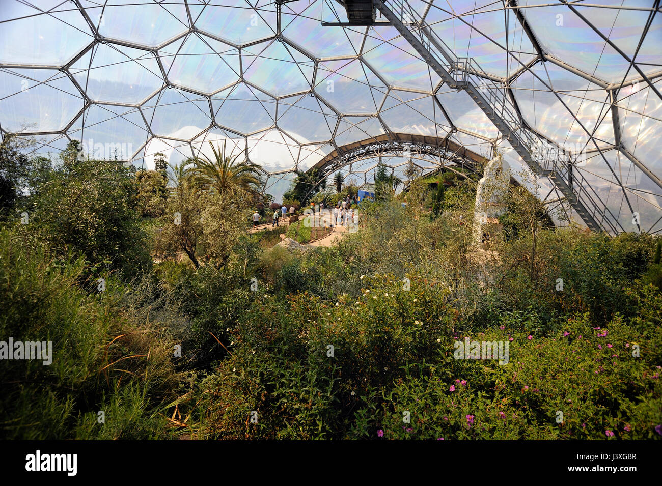 Inside the Eden project biodome Stock Photo