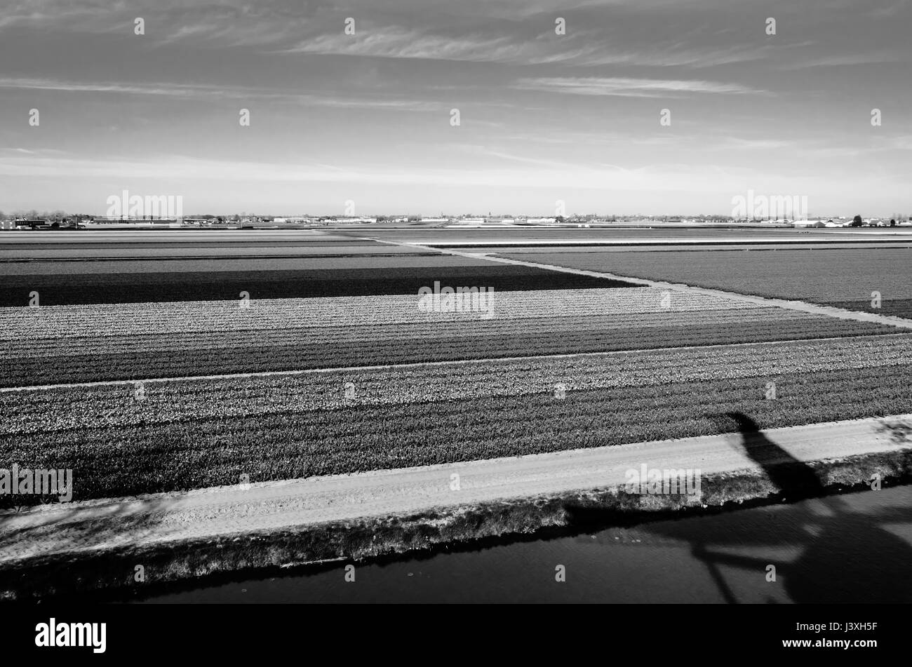 Field landscape, black and white image Stock Photo - Alamy