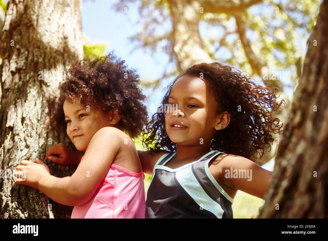 Two young sisters playing on tree Stock Photo