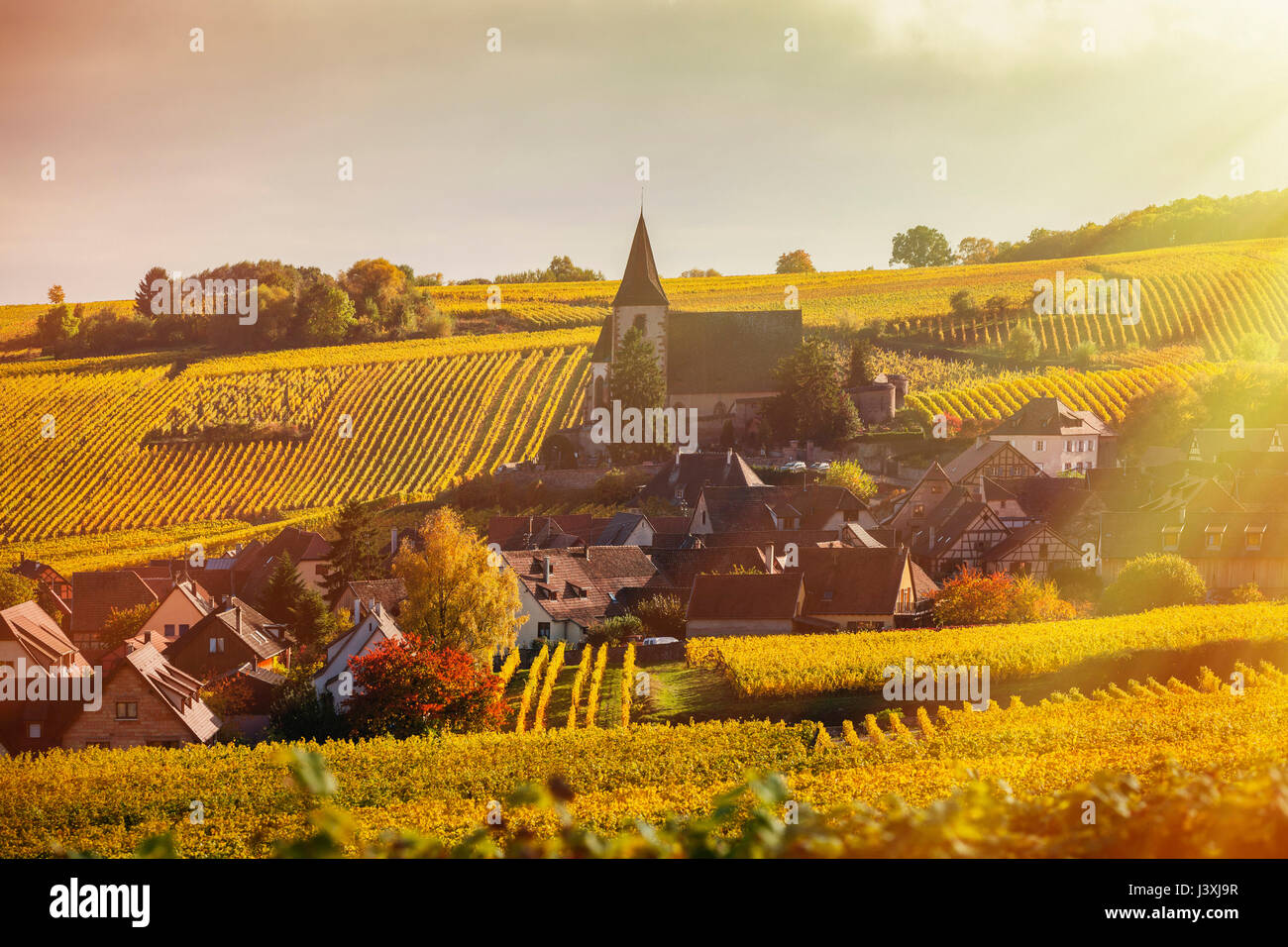 Rolling landscape with autumn vines and village, Hunawihr, Alsace, France Stock Photo