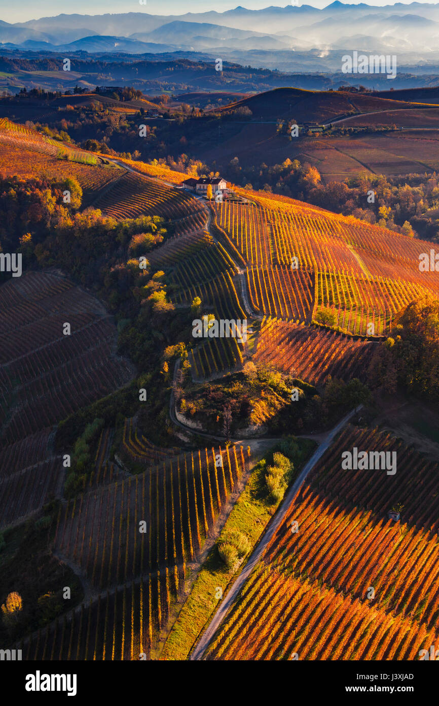 View from hot air balloon of rolling landscape and autumn vineyards, Langhe, Piedmont, Italy Stock Photo