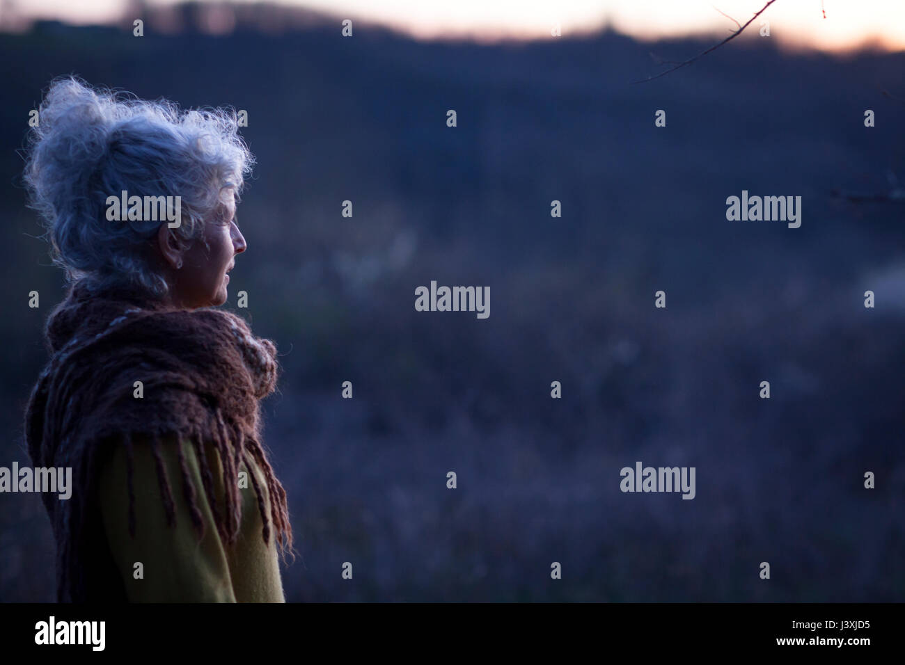 Portrait of mature grey haired woman gazing at dusk landscape Stock Photo