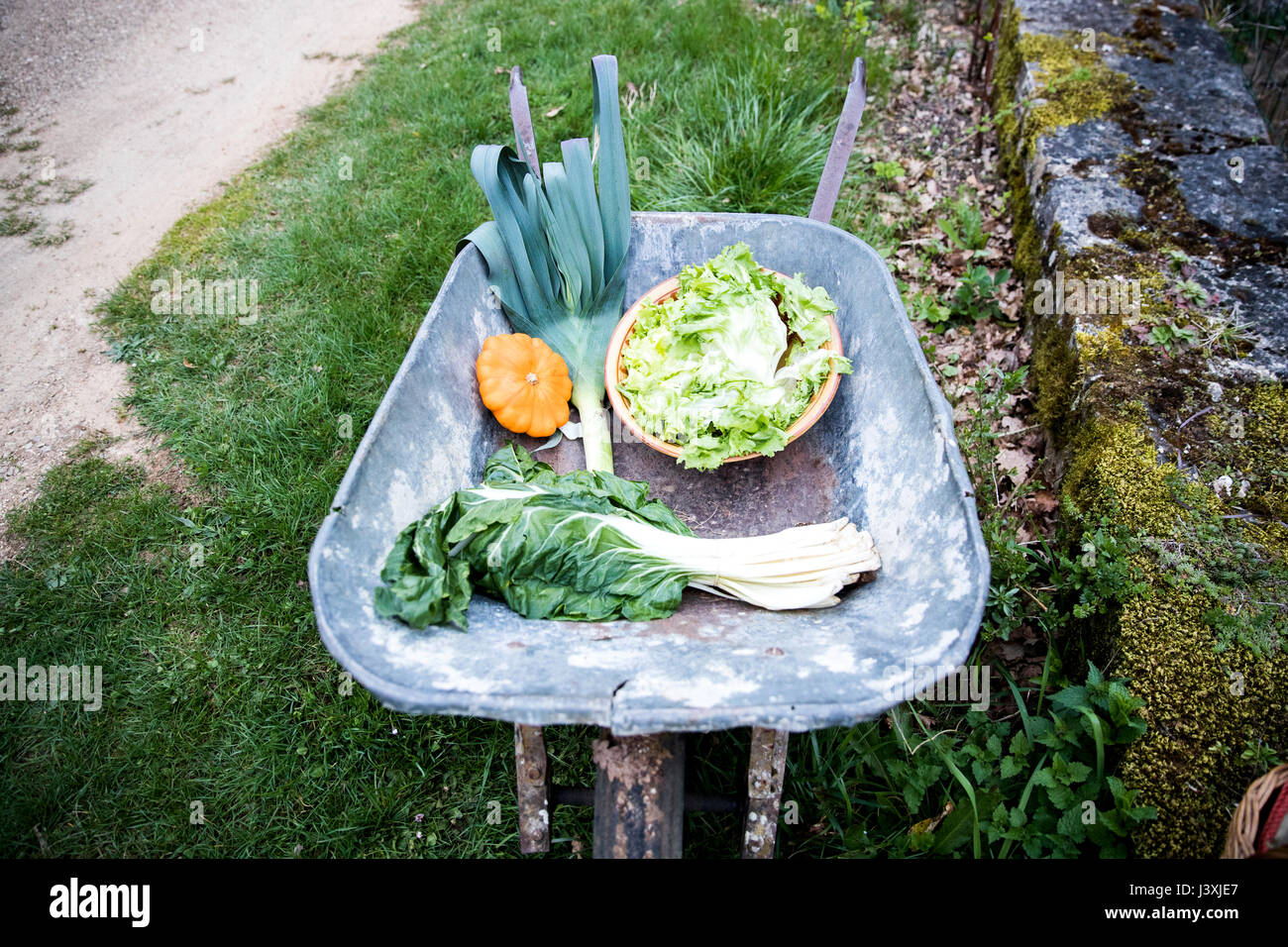 Wheelbarrow vegetable garden gardening hires stock photography and