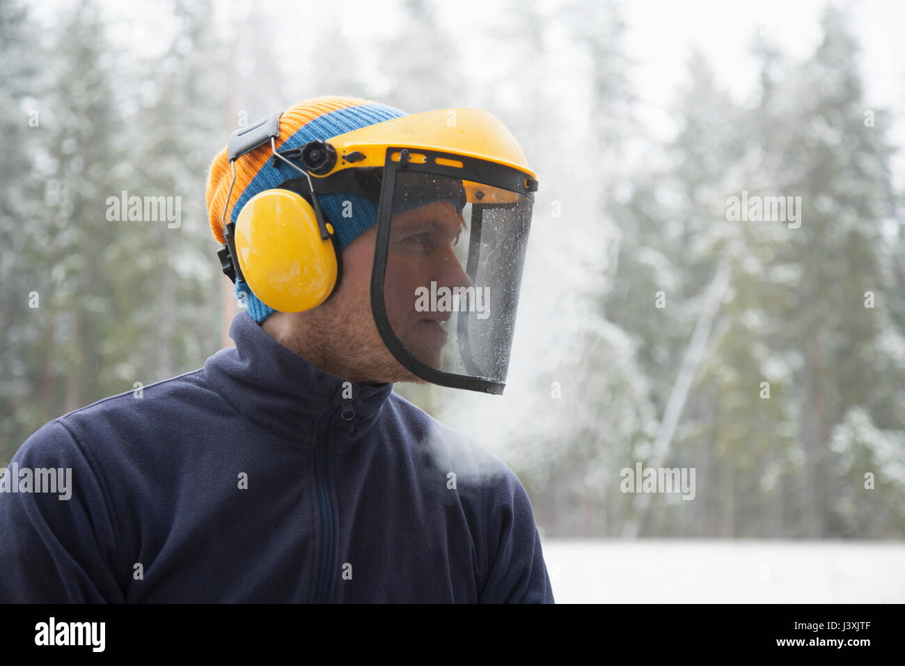 Logger wearing safety visor in forest, Tammela, Forssa, Finland Stock ...