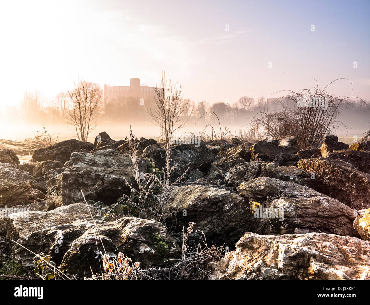 Frosted rocks and weeds in misty park at sunrise Stock Photo