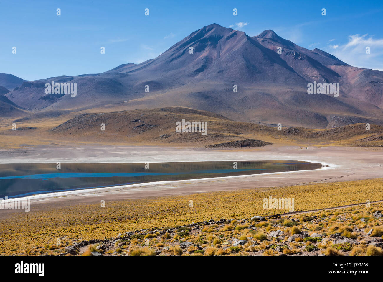 Lake miscanti, San Pedro de Atacama, Chile Stock Photo