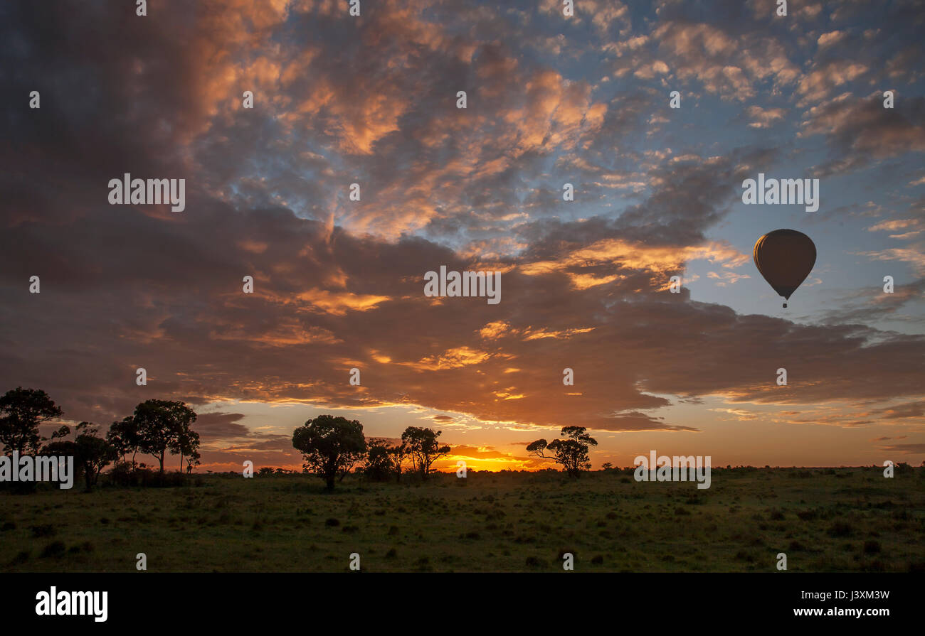 Hot air balloon over African savannah at sunrise, Masai Mara National