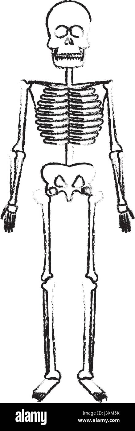 Male Chest Bones Stock Photos & Male Chest Bones Stock Images - Alamy