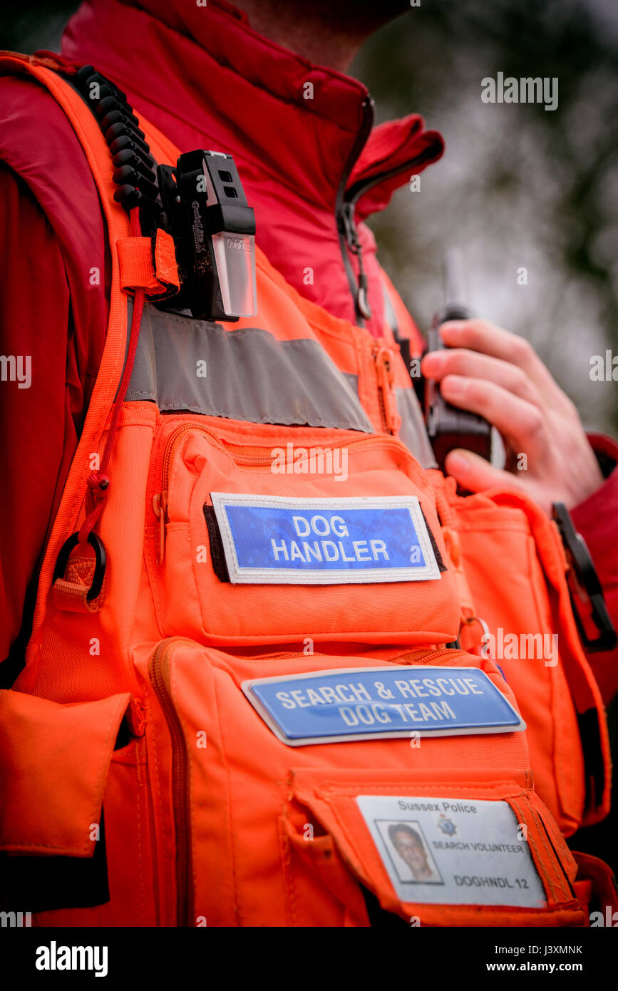 The team of volunteers the are the Lowland Search and Rescue Dogs in action in West Sussex. Stock Photo