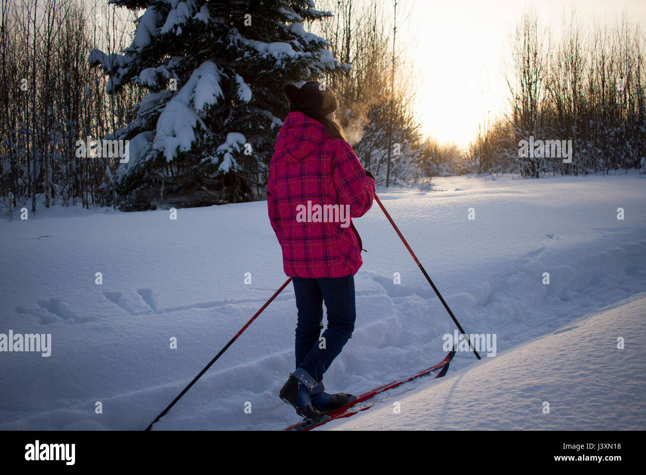 Teenage girl, cross country skiing, rear view, Chusovo, Russia Stock Photo