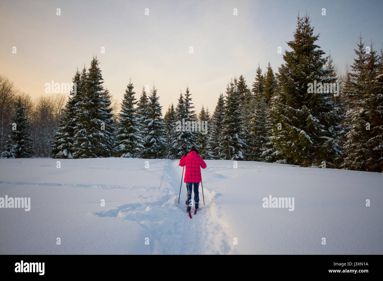 Teenage girl, cross country skiing, rear view, Chusovo, Russia Stock Photo