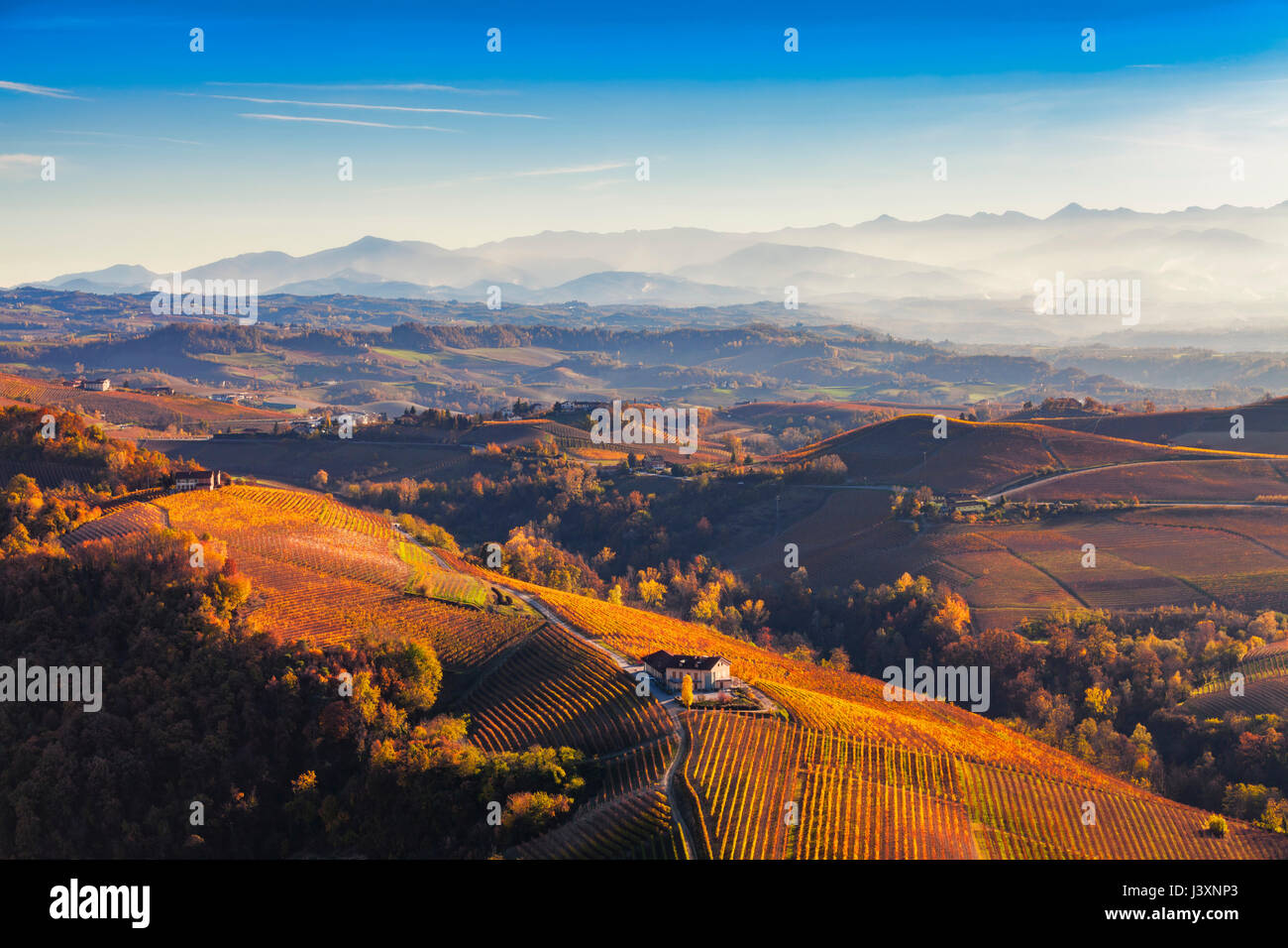 View from hot air balloon of rolling landscape and autumn vineyards, Langhe, Piedmont, Italy Stock Photo
