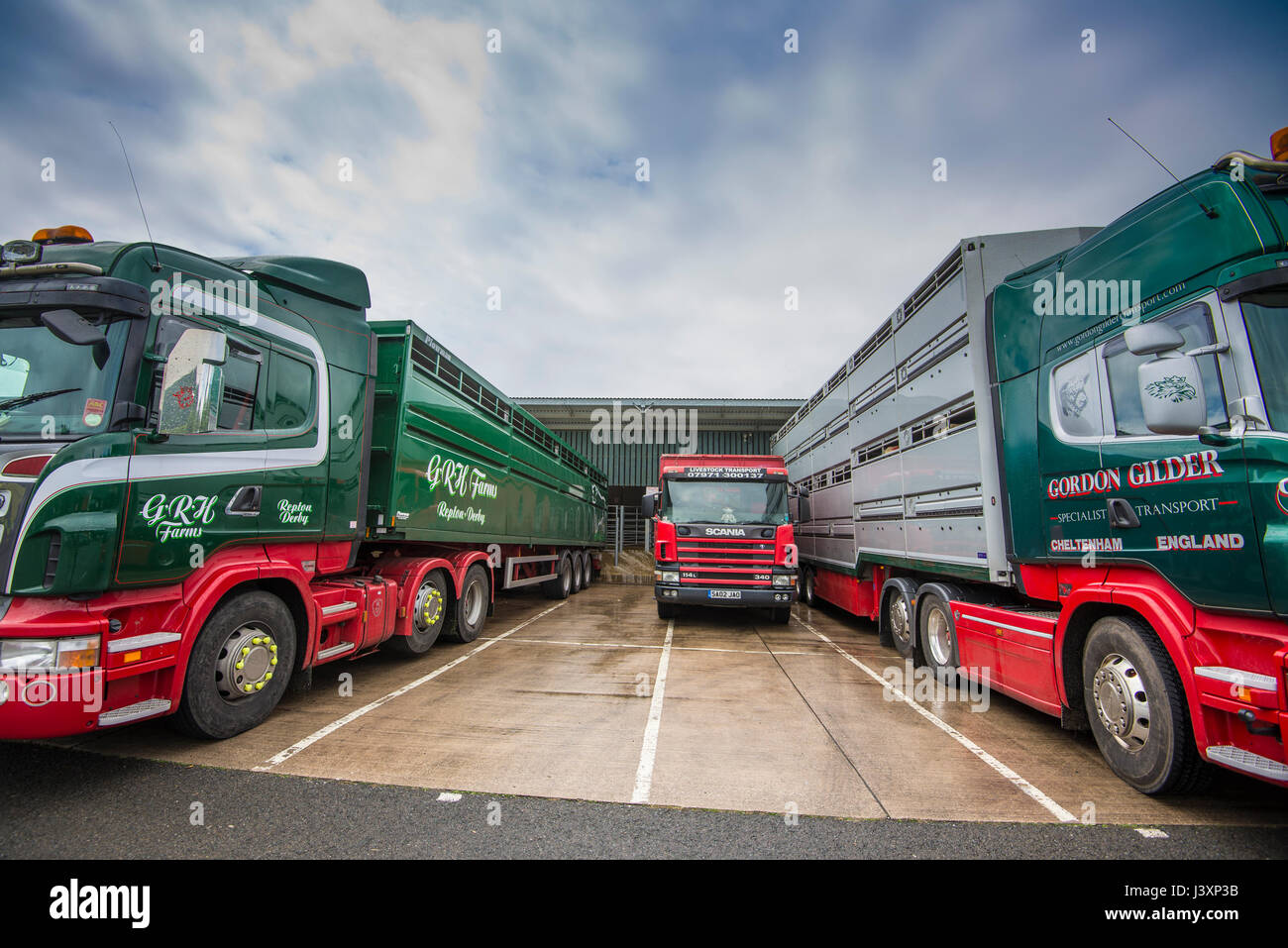 Livestock haulage hires stock photography and images Alamy